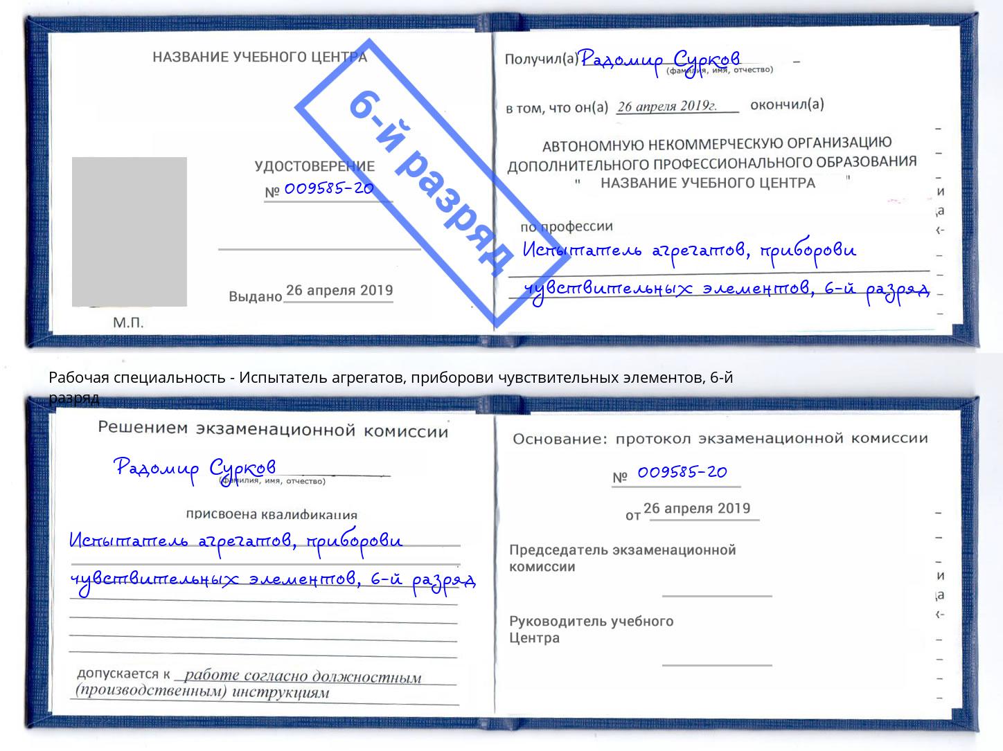 корочка 6-й разряд Испытатель агрегатов, приборови чувствительных элементов Туапсе